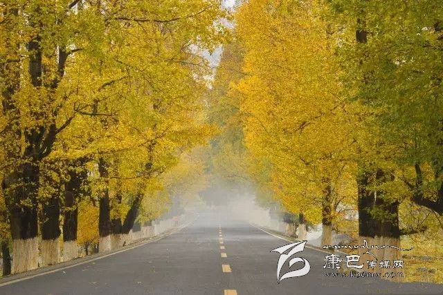 康定新都橋，有一條黃金大道通往夢(mèng)中的天堂