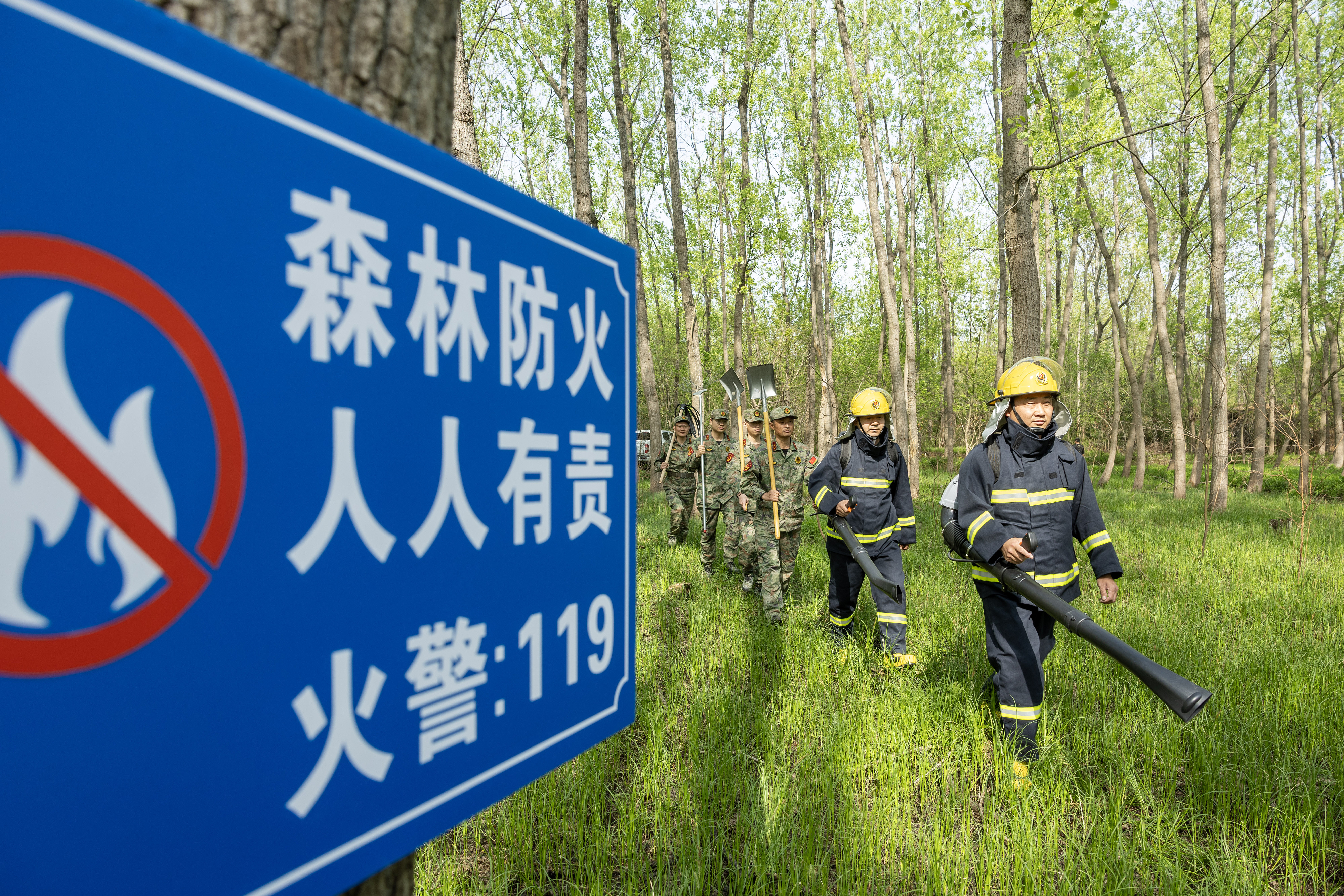 2024年4月9日，合肥市大房郢水庫水源保護地廬陽(yáng)經(jīng)濟開(kāi)發(fā)區段，基干民兵正在林間巡查火災隱患。