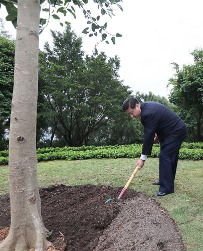 2012年12月7日至11日，習近平在廣東省考察工作。這是8日上午，習近平在深圳蓮花山公園種下一棵高山榕樹(shù)。新華社記者 蘭紅光 攝